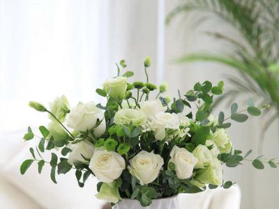 办公室有束鲜花，不要太赏心悦目