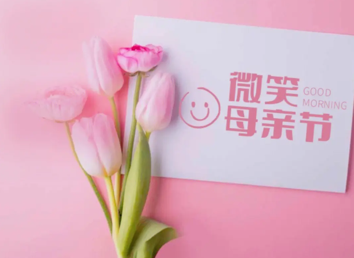母亲节快乐 康乃馨