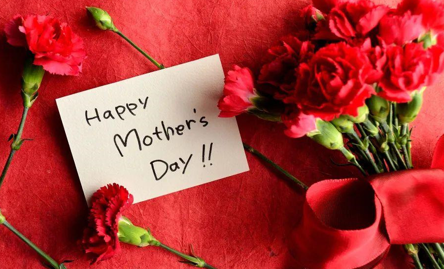 母亲节快乐 康乃馨