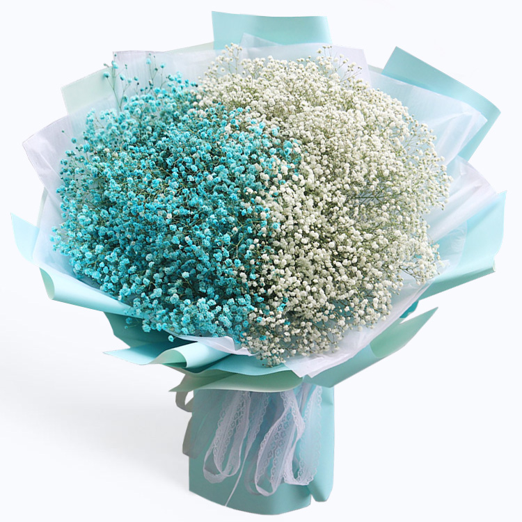 蓝色满天星混搭白色满天星